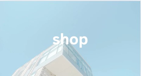 shop