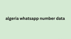 algeria whatsapp number data